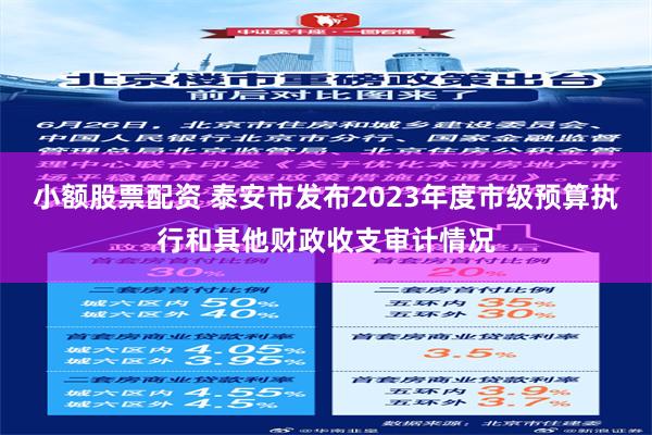 小额股票配资 泰安市发布2023年度市级预算执行和其他财政收支审计情况