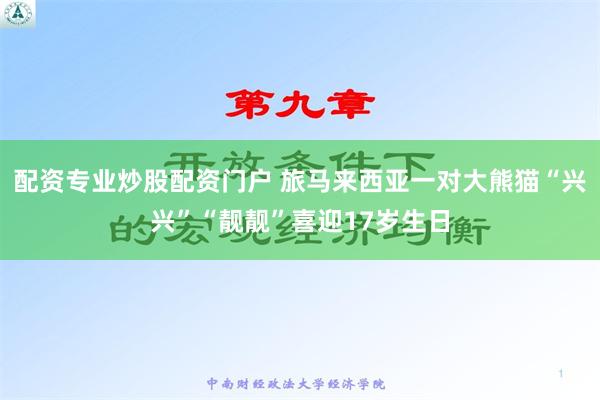 配资专业炒股配资门户 旅马来西亚一对大熊猫“兴兴”“靓靓”喜迎17岁生日